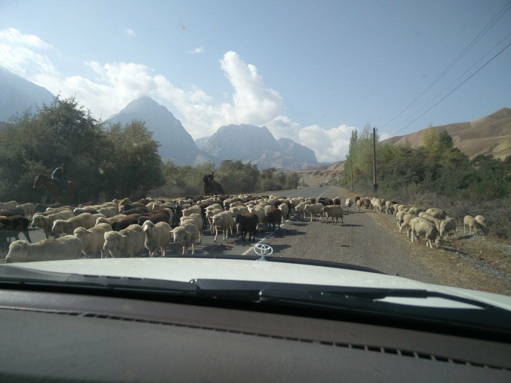 pamir highway