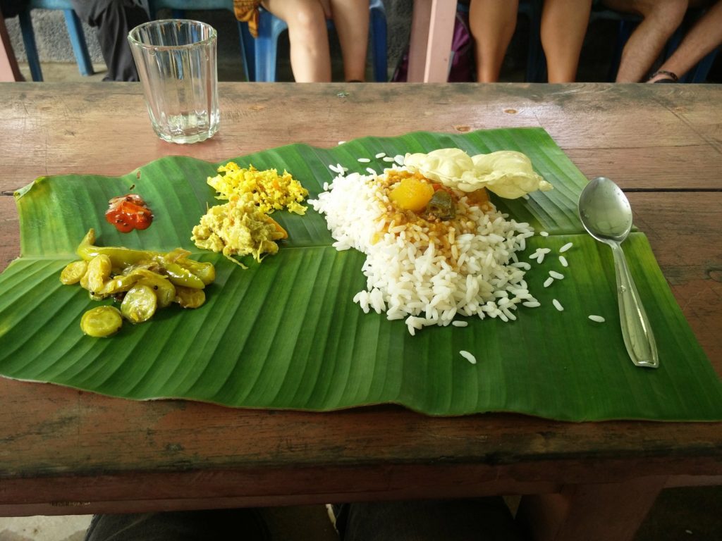 backwaters kerala