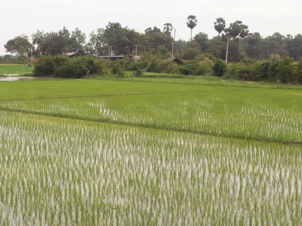 hpa an