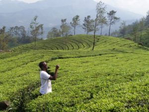 munnar etre noir et voyager