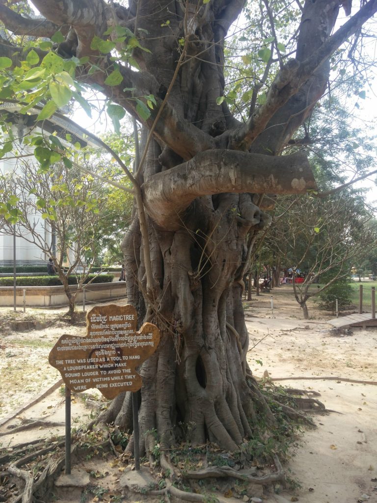 magic tree killing fields