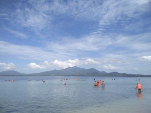 starfish island palawan