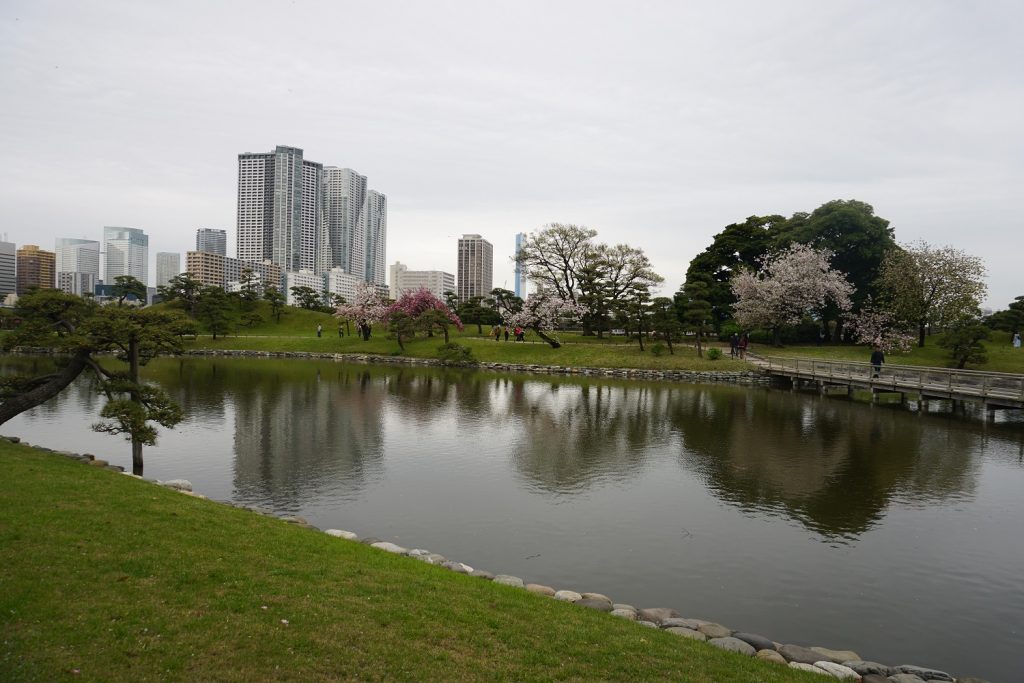 hamarikyu gardens tokyo