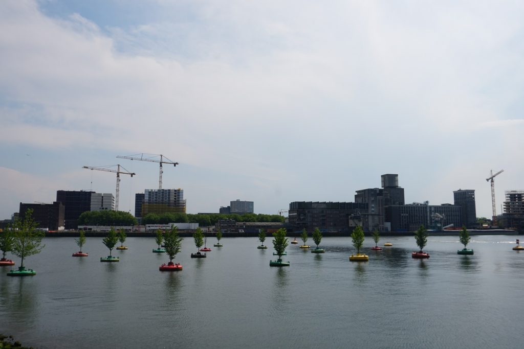 floating forest rotterdam