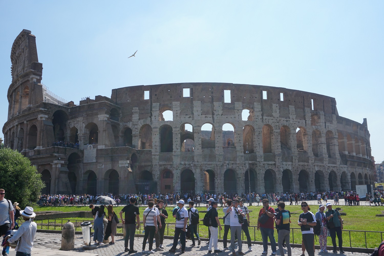 colosseum rome italy