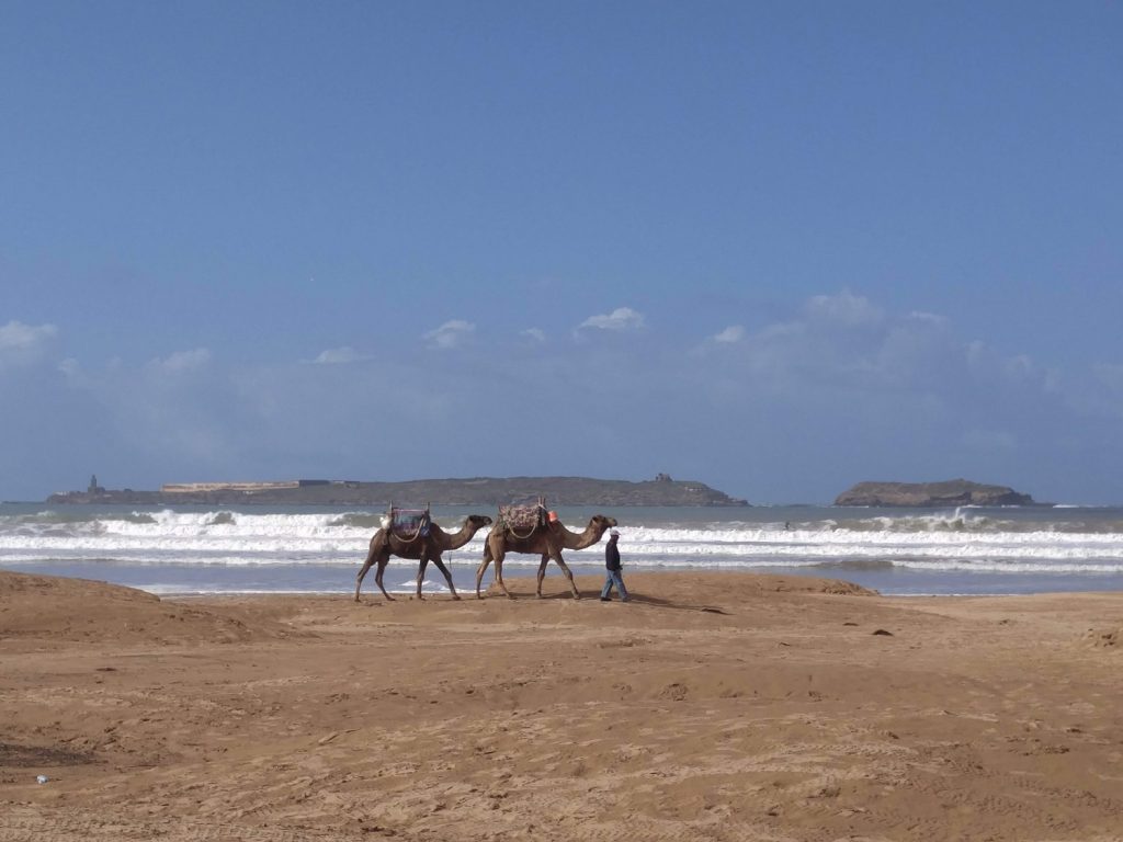 essaouira