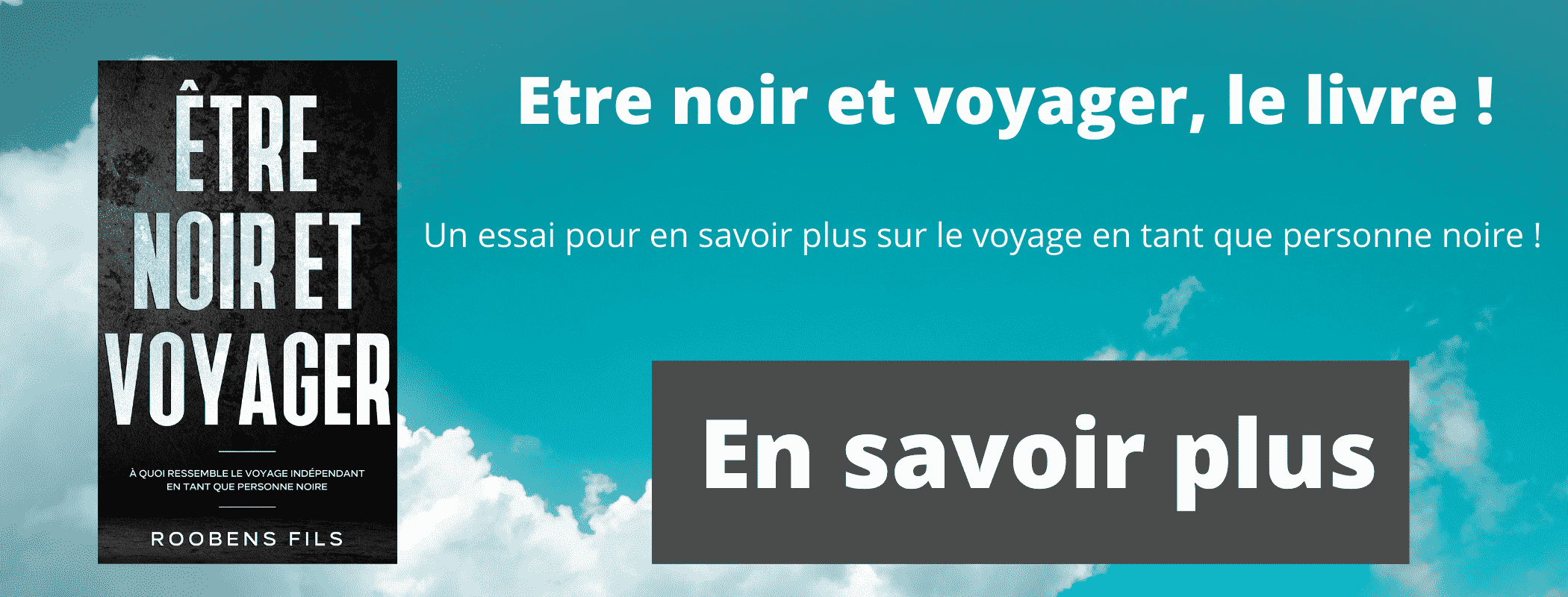 avion voyage seul