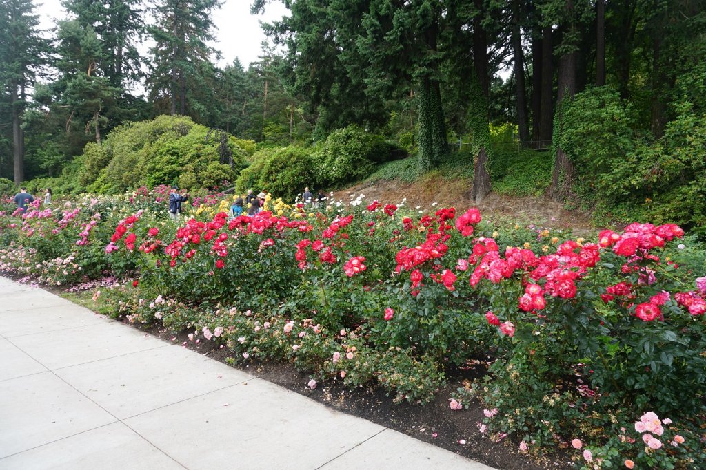 jardin des roses portland