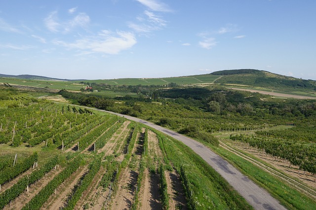 tokaj hongrie