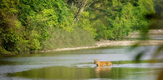 bardia national park nepal