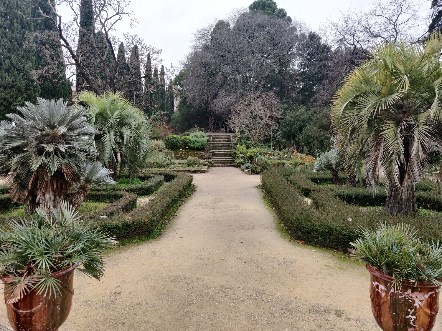 10 best things to do in Montpellier Been Around The Globe